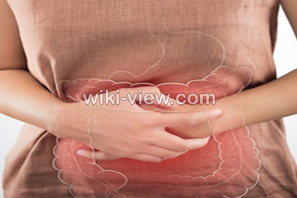 تحریک پذیر, روده تحریک پذیر چیست, علائم روده تحریک پذیر, تشخیص روده تحریک پذیر, درمان روده تحریک پذیر در طب سنتی, عسل برای روده تحریک پذیر, سندرم روده تحریک پذیر و لاغری, درمان جدید روده تحریک پذیر, رازیانه و روده تحریک پذیر, درمان گیاهی سندرم روده تحریک پذیر, درمان دارویی سندرم روده تحریک پذیر, درمان قطعی سندرم روده تحریک پذیر, مواد غذایی مفید برای سندرم روده تحریک پذیر تحریک پذیر, روده تحریک پذیر چیست, علائم روده تحریک پذیر, تشخیص روده تحریک پذیر, درمان روده تحریک پذیر در طب سنتی, عسل برای روده تحریک پذیر, سندرم روده تحریک پذیر و لاغری, درمان جدید روده تحریک پذیر, رازیانه و روده تحریک پذیر, درمان گیاهی سندرم روده تحریک پذیر, درمان دارویی سندرم روده تحریک پذیر, درمان قطعی سندرم روده تحریک پذیر, مواد غذایی مفید برای سندرم روده تحریک پذیر