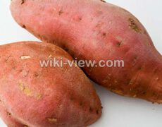 سیب زمینی شیرین : خواص, مضرات و طبع سیب زمینی شیرین