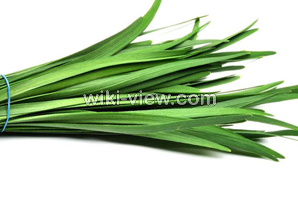 تره, خواص تره, مضرات تره, طبع تره, تره در بارداری, تره برای بواسیر, تره برای مو, تره برای کم خونی, تره برای دیابت تره, خواص تره, مضرات تره, طبع تره, تره در بارداری, تره برای بواسیر, تره برای مو, تره برای کم خونی, تره برای دیابت
