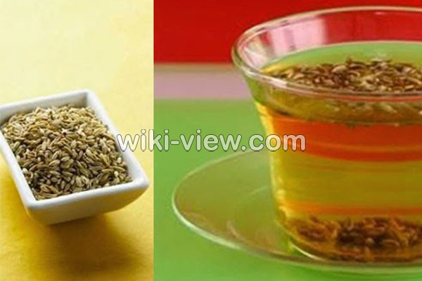 عرق رازیانه, خواص عرق رازیانه, مضرات عرق رازیانه, طبع عرق رازیانه, عرق رازیانه در بارداری, عرق رازیانه در شیردهی, عرق رازیانه و بزرگ شدن سینه, عرق رازیانه برای چاقی صورت, نحوه مصرف پودر رازیانه, طریقه مصرف رازیانه برای قاعدگی, دمنوش رازیانه, خواص رازیانه برای مردان, عرق رازیانه برای عقب افتادن پریود عرق رازیانه, خواص عرق رازیانه, مضرات عرق رازیانه, طبع عرق رازیانه, عرق رازیانه در بارداری, عرق رازیانه در شیردهی, عرق رازیانه و بزرگ شدن سینه, عرق رازیانه برای چاقی صورت, نحوه مصرف پودر رازیانه, طریقه مصرف رازیانه برای قاعدگی, دمنوش رازیانه, خواص رازیانه برای مردان, عرق رازیانه برای عقب افتادن پریود
