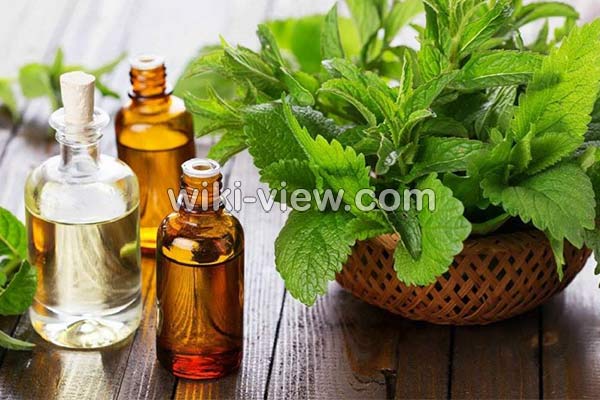 عرق نعناع, خواص عرق نعناع, مضرات عرق نعناع, طبع عرق نعناع, عرق نعناع و یبوست, خواص عرق نعناع برای لاغری, عرق نعناع دل درد, خواص عرق نعناع برای معده, عرق نعناع در بارداری, خواص عرق نعناع با بارهنگ, طرز تهیه عرق نعنا عرق نعناع, خواص عرق نعناع, مضرات عرق نعناع, طبع عرق نعناع, عرق نعناع و یبوست, خواص عرق نعناع برای لاغری, عرق نعناع دل درد, خواص عرق نعناع برای معده, عرق نعناع در بارداری, خواص عرق نعناع با بارهنگ, طرز تهیه عرق نعنا