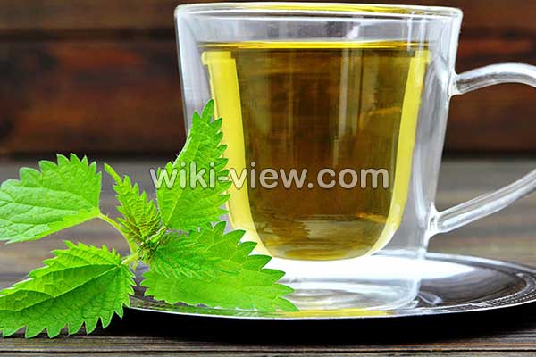 عرق گزنه, خواص عرق گزنه, مضرات عرق گزنه, طبع عرق گزنه, خواص عرق گزنه برای قاعدگی, خواص عرق گزنه برای پروستات, خواص عرق گزنه برای لاغری, خواص عرق گزنه برای قند, طریقه مصرف عرق گزنه برای پروستات عرق گزنه, خواص عرق گزنه, مضرات عرق گزنه, طبع عرق گزنه, خواص عرق گزنه برای قاعدگی, خواص عرق گزنه برای پروستات, خواص عرق گزنه برای لاغری, خواص عرق گزنه برای قند, طریقه مصرف عرق گزنه برای پروستات