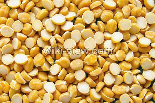 لپه, لپه چیست, خواص لپه, مضرات لپه, طبع لپه, لپه در بارداری, خواص لپه برای کودکان, طرز تهیه لپه از نخود لپه, لپه چیست, خواص لپه, مضرات لپه, طبع لپه, لپه در بارداری, خواص لپه برای کودکان, طرز تهیه لپه از نخود