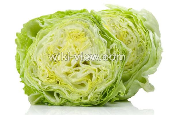 کاهو, خواص کاهو, مضرات کاهو, طبع کاهو, کاهو در بارداری, خواص کاهو در لاغری, خواص کاهو برای کبد چرب, خواص کاهو فرانسوی, خواص کاهو چینی کاهو, خواص کاهو, مضرات کاهو, طبع کاهو, کاهو در بارداری, خواص کاهو در لاغری, خواص کاهو برای کبد چرب, خواص کاهو فرانسوی, خواص کاهو چینی
