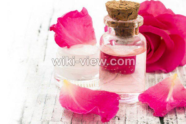 گلاب, خواص گلاب, مضرات گلاب, طبع گلاب سرد یا گرم, خواص گلاب برای پوست, خواص گلاب برای مو, خواص گلاب برای لاغری, خواص گلاب برای یبوست, خواص گلاب برای رحم, خواص گلاب برای اعصاب, خواص گلاب برای استرس, خواص گلاب در بارداری گلاب, خواص گلاب, مضرات گلاب, طبع گلاب سرد یا گرم, خواص گلاب برای پوست, خواص گلاب برای مو, خواص گلاب برای لاغری, خواص گلاب برای یبوست, خواص گلاب برای رحم, خواص گلاب برای اعصاب, خواص گلاب برای استرس, خواص گلاب در بارداری