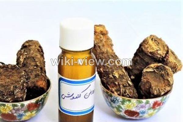 روغن کندش, خواص روغن کندش, مضرات روغن کندش, طبع روغن کندش, خواص روغن کندش برای پوست, خواص روغن کندش برای مو, روغن کندش برای مژه, روغن کندش برای ابرو, روغن کندش برای ریش, روش تشخیص روغن کندش اصل, طرز تهیه روغن کندش در خانه روغن کندش, خواص روغن کندش, مضرات روغن کندش, طبع روغن کندش, خواص روغن کندش برای پوست, خواص روغن کندش برای مو, روغن کندش برای مژه, روغن کندش برای ابرو, روغن کندش برای ریش, روش تشخیص روغن کندش اصل, طرز تهیه روغن کندش در خانه
