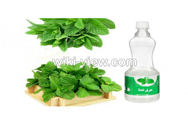 عرق نعناع, خواص عرق نعناع, مضرات عرق نعناع, طبع عرق نعناع, عرق نعناع و یبوست, خواص عرق نعناع برای لاغری, عرق نعناع دل درد, خواص عرق نعناع برای معده, عرق نعناع در بارداری, خواص عرق نعناع با بارهنگ, طرز تهیه عرق نعنا عرق نعناع, خواص عرق نعناع, مضرات عرق نعناع, طبع عرق نعناع, عرق نعناع و یبوست, خواص عرق نعناع برای لاغری, عرق نعناع دل درد, خواص عرق نعناع برای معده, عرق نعناع در بارداری, خواص عرق نعناع با بارهنگ, طرز تهیه عرق نعنا
