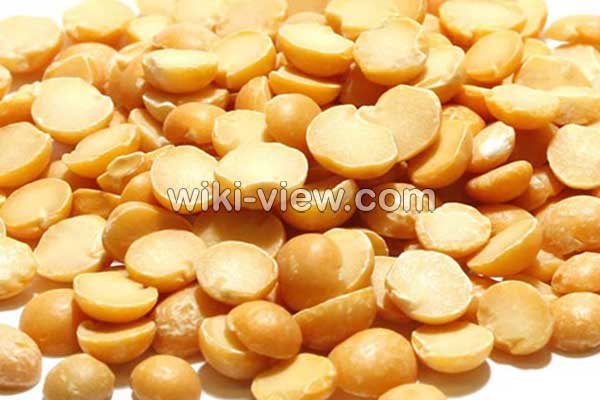لپه, لپه چیست, خواص لپه, مضرات لپه, طبع لپه, لپه در بارداری, خواص لپه برای کودکان, طرز تهیه لپه از نخود لپه, لپه چیست, خواص لپه, مضرات لپه, طبع لپه, لپه در بارداری, خواص لپه برای کودکان, طرز تهیه لپه از نخود