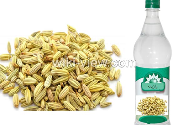 عرق رازیانه, خواص عرق رازیانه, مضرات عرق رازیانه, طبع عرق رازیانه, عرق رازیانه در بارداری, عرق رازیانه در شیردهی, عرق رازیانه و بزرگ شدن سینه, عرق رازیانه برای چاقی صورت, نحوه مصرف پودر رازیانه, طریقه مصرف رازیانه برای قاعدگی, دمنوش رازیانه, خواص رازیانه برای مردان, عرق رازیانه برای عقب افتادن پریود عرق رازیانه, خواص عرق رازیانه, مضرات عرق رازیانه, طبع عرق رازیانه, عرق رازیانه در بارداری, عرق رازیانه در شیردهی, عرق رازیانه و بزرگ شدن سینه, عرق رازیانه برای چاقی صورت, نحوه مصرف پودر رازیانه, طریقه مصرف رازیانه برای قاعدگی, دمنوش رازیانه, خواص رازیانه برای مردان, عرق رازیانه برای عقب افتادن پریود