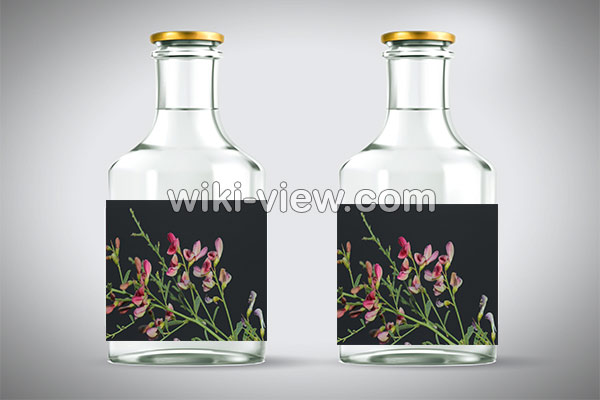 عرق خارشتر, خواص عرق خارشتر, مضرات عرق خارشتر, طبع عرق خارشتر, عرق خارشتر برای لاغری, خواص عرق خارشتر و خارخاسک, عرق خارشتر برای عفونت, موارد منع مصرف عرق خارشتر, طریقه مصرف عرق خارشتر برای دفع سنگ کلیه, خواص عرق خارشتر برای عفونت واژن, خواص عرق خارشتر برای کبد عرق خارشتر, خواص عرق خارشتر, مضرات عرق خارشتر, طبع عرق خارشتر, عرق خارشتر برای لاغری, خواص عرق خارشتر و خارخاسک, عرق خارشتر برای عفونت, موارد منع مصرف عرق خارشتر, طریقه مصرف عرق خارشتر برای دفع سنگ کلیه, خواص عرق خارشتر برای عفونت واژن, خواص عرق خارشتر برای کبد