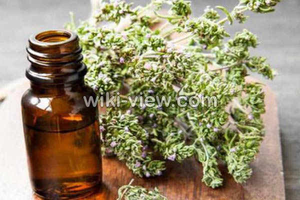 عرق آویشن, خواص عرق آویشن, مضرات عرق آویشن, طبع عرق آویشن, عرق آویشن و فشار خون, عرق آویشن در بارداری, عرق آویشن در شیردهی, عرق آویشن برای لاغری, عرق آویشن برای سرفه, عرق آویشن برای نوزاد, عرق آویشن و دیابت عرق آویشن, خواص عرق آویشن, مضرات عرق آویشن, طبع عرق آویشن, عرق آویشن و فشار خون, عرق آویشن در بارداری, عرق آویشن در شیردهی, عرق آویشن برای لاغری, عرق آویشن برای سرفه, عرق آویشن برای نوزاد, عرق آویشن و دیابت