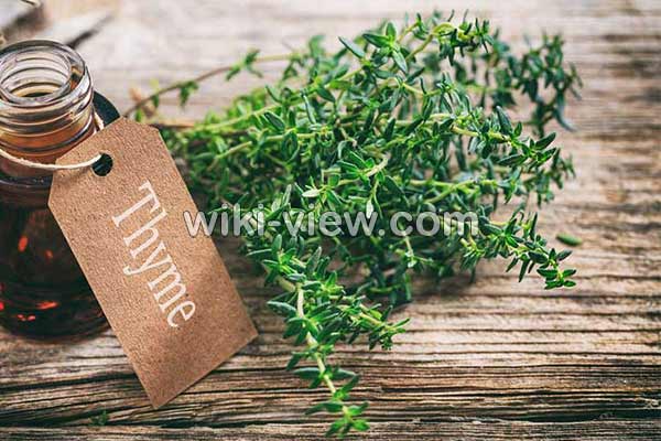 عرق آویشن, خواص عرق آویشن, مضرات عرق آویشن, طبع عرق آویشن, عرق آویشن و فشار خون, عرق آویشن در بارداری, عرق آویشن در شیردهی, عرق آویشن برای لاغری, عرق آویشن برای سرفه, عرق آویشن برای نوزاد, عرق آویشن و دیابت عرق آویشن, خواص عرق آویشن, مضرات عرق آویشن, طبع عرق آویشن, عرق آویشن و فشار خون, عرق آویشن در بارداری, عرق آویشن در شیردهی, عرق آویشن برای لاغری, عرق آویشن برای سرفه, عرق آویشن برای نوزاد, عرق آویشن و دیابت