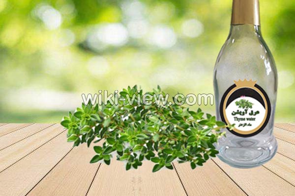 عرق آویشن, خواص عرق آویشن, مضرات عرق آویشن, طبع عرق آویشن, عرق آویشن و فشار خون, عرق آویشن در بارداری, عرق آویشن در شیردهی, عرق آویشن برای لاغری, عرق آویشن برای سرفه, عرق آویشن برای نوزاد, عرق آویشن و دیابت عرق آویشن, خواص عرق آویشن, مضرات عرق آویشن, طبع عرق آویشن, عرق آویشن و فشار خون, عرق آویشن در بارداری, عرق آویشن در شیردهی, عرق آویشن برای لاغری, عرق آویشن برای سرفه, عرق آویشن برای نوزاد, عرق آویشن و دیابت