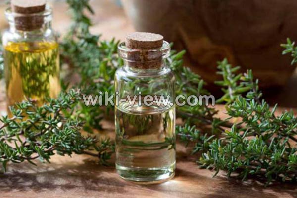 عرق آویشن, خواص عرق آویشن, مضرات عرق آویشن, طبع عرق آویشن, عرق آویشن و فشار خون, عرق آویشن در بارداری, عرق آویشن در شیردهی, عرق آویشن برای لاغری, عرق آویشن برای سرفه, عرق آویشن برای نوزاد, عرق آویشن و دیابت عرق آویشن, خواص عرق آویشن, مضرات عرق آویشن, طبع عرق آویشن, عرق آویشن و فشار خون, عرق آویشن در بارداری, عرق آویشن در شیردهی, عرق آویشن برای لاغری, عرق آویشن برای سرفه, عرق آویشن برای نوزاد, عرق آویشن و دیابت