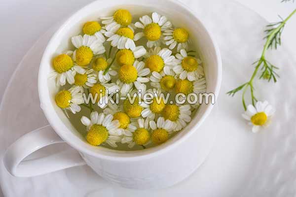 عرق بابونه, عرق بابونه برای چی خوبه, خواص عرق بابونه, مضرات عرق بابونه, طبع عرق بابونه, طریقه مصرف عرق بابونه, عرق بابونه برای چاقی, عرق بابونه برای مو, خواص عرق بابونه برای معده, خواص عرق بابونه برای پوست صورت, عرق بابونه برای کودکان عرق بابونه, عرق بابونه برای چی خوبه, خواص عرق بابونه, مضرات عرق بابونه, طبع عرق بابونه, طریقه مصرف عرق بابونه, عرق بابونه برای چاقی, عرق بابونه برای مو, خواص عرق بابونه برای معده, خواص عرق بابونه برای پوست صورت, عرق بابونه برای کودکان