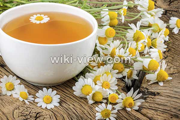 عرق بابونه, عرق بابونه برای چی خوبه, خواص عرق بابونه, مضرات عرق بابونه, طبع عرق بابونه, طریقه مصرف عرق بابونه, عرق بابونه برای چاقی, عرق بابونه برای مو, خواص عرق بابونه برای معده, خواص عرق بابونه برای پوست صورت, عرق بابونه برای کودکان عرق بابونه, عرق بابونه برای چی خوبه, خواص عرق بابونه, مضرات عرق بابونه, طبع عرق بابونه, طریقه مصرف عرق بابونه, عرق بابونه برای چاقی, عرق بابونه برای مو, خواص عرق بابونه برای معده, خواص عرق بابونه برای پوست صورت, عرق بابونه برای کودکان