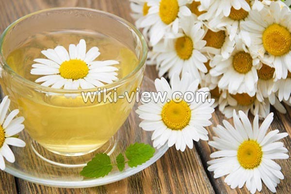 عرق بابونه, عرق بابونه برای چی خوبه, خواص عرق بابونه, مضرات عرق بابونه, طبع عرق بابونه, طریقه مصرف عرق بابونه, عرق بابونه برای چاقی, عرق بابونه برای مو, خواص عرق بابونه برای معده, خواص عرق بابونه برای پوست صورت, عرق بابونه برای کودکان عرق بابونه, عرق بابونه برای چی خوبه, خواص عرق بابونه, مضرات عرق بابونه, طبع عرق بابونه, طریقه مصرف عرق بابونه, عرق بابونه برای چاقی, عرق بابونه برای مو, خواص عرق بابونه برای معده, خواص عرق بابونه برای پوست صورت, عرق بابونه برای کودکان