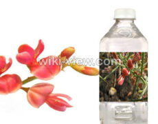 عرق خارشتر : خواص, مضرات و طبع عرق خارشتر / عرق خارشتر برای لاغری