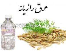 عرق رازیانه : خواص, مضرات و طبع عرق رازیانه / عرق رازیانه برای چاقی صورت عرق رازیانه : خواص, مضرات و طبع عرق رازیانه / عرق رازیانه برای چاقی صورت