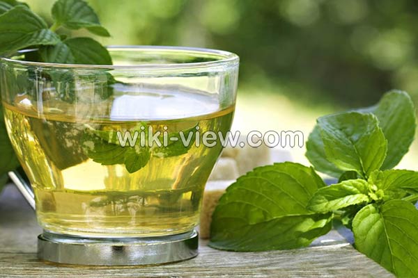 عرق نعناع, خواص عرق نعناع, مضرات عرق نعناع, طبع عرق نعناع, عرق نعناع و یبوست, خواص عرق نعناع برای لاغری, عرق نعناع دل درد, خواص عرق نعناع برای معده, عرق نعناع در بارداری, خواص عرق نعناع با بارهنگ, طرز تهیه عرق نعنا عرق نعناع, خواص عرق نعناع, مضرات عرق نعناع, طبع عرق نعناع, عرق نعناع و یبوست, خواص عرق نعناع برای لاغری, عرق نعناع دل درد, خواص عرق نعناع برای معده, عرق نعناع در بارداری, خواص عرق نعناع با بارهنگ, طرز تهیه عرق نعنا