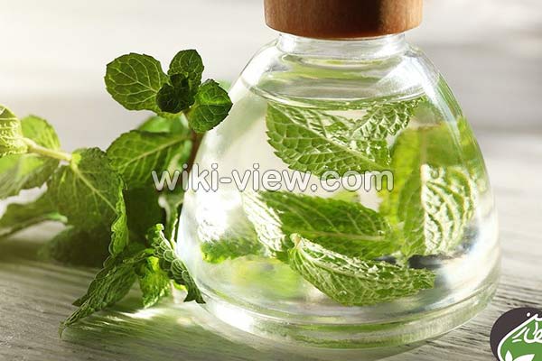 عرق نعناع, خواص عرق نعناع, مضرات عرق نعناع, طبع عرق نعناع, عرق نعناع و یبوست, خواص عرق نعناع برای لاغری, عرق نعناع دل درد, خواص عرق نعناع برای معده, عرق نعناع در بارداری, خواص عرق نعناع با بارهنگ, طرز تهیه عرق نعنا عرق نعناع, خواص عرق نعناع, مضرات عرق نعناع, طبع عرق نعناع, عرق نعناع و یبوست, خواص عرق نعناع برای لاغری, عرق نعناع دل درد, خواص عرق نعناع برای معده, عرق نعناع در بارداری, خواص عرق نعناع با بارهنگ, طرز تهیه عرق نعنا
