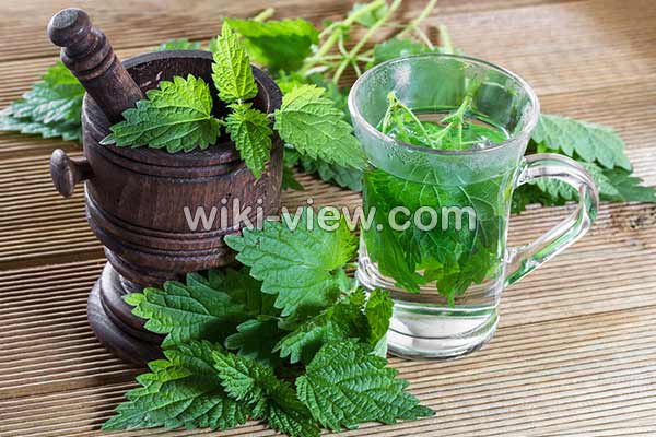 عرق گزنه, خواص عرق گزنه, مضرات عرق گزنه, طبع عرق گزنه, خواص عرق گزنه برای قاعدگی, خواص عرق گزنه برای پروستات, خواص عرق گزنه برای لاغری, خواص عرق گزنه برای قند, طریقه مصرف عرق گزنه برای پروستات عرق گزنه, خواص عرق گزنه, مضرات عرق گزنه, طبع عرق گزنه, خواص عرق گزنه برای قاعدگی, خواص عرق گزنه برای پروستات, خواص عرق گزنه برای لاغری, خواص عرق گزنه برای قند, طریقه مصرف عرق گزنه برای پروستات