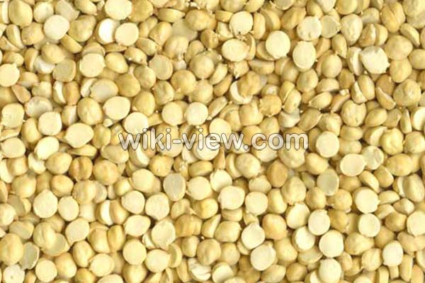 لپه, لپه چیست, خواص لپه, مضرات لپه, طبع لپه, لپه در بارداری, خواص لپه برای کودکان, طرز تهیه لپه از نخود لپه, لپه چیست, خواص لپه, مضرات لپه, طبع لپه, لپه در بارداری, خواص لپه برای کودکان, طرز تهیه لپه از نخود