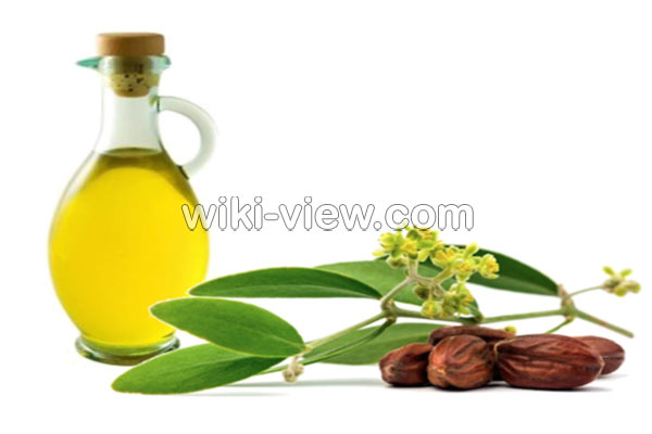 روغن جوجوبا, خواص روغن جوجوبا, مضرات روغن جوجوبا, طبع روغن جوجوبا, روغن جوجوبا برای دور چشم, روغن جوجوبا برای مو, روغن جوجوبا برای پوست, روغن جوجوبا برای ناخن, روغن جوجوبا برای جوش, مشخصات روغن جوجوبا اصل, طرز تهیه روغن جوجوبا در منزل روغن جوجوبا, خواص روغن جوجوبا, مضرات روغن جوجوبا, طبع روغن جوجوبا, روغن جوجوبا برای دور چشم, روغن جوجوبا برای مو, روغن جوجوبا برای پوست, روغن جوجوبا برای ناخن, روغن جوجوبا برای جوش, مشخصات روغن جوجوبا اصل, طرز تهیه روغن جوجوبا در منزل