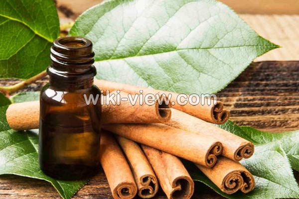 روغن دارچین, خواص روغن دارچین, مضرات روغن دارچین, طبع روغن دارچین, خواص روغن دارچین برای واژن, خواص روغن دارچین برای ماساژ, خواص روغن دارچین برای لاغری موضعی, خواص روغن دارچین برای لب, روغن دارچین برای مو, روغن دارچین برای دیابت, روغن دارچین چگونه تهیه میشود روغن دارچین, خواص روغن دارچین, مضرات روغن دارچین, طبع روغن دارچین, خواص روغن دارچین برای واژن, خواص روغن دارچین برای ماساژ, خواص روغن دارچین برای لاغری موضعی, خواص روغن دارچین برای لب, روغن دارچین برای مو, روغن دارچین برای دیابت, روغن دارچین چگونه تهیه میشود