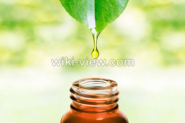 روغن درخت چای, خواص روغن درخت چای, مضرات روغن درخت چای, طبع روغن درخت چای, خواص روغن درخت چای برای جوش, خواص روغن درخت چای برای پوست, خواص روغن درخت چای برای مو, طرز استفاده روغن درخت چای برای جوش, ماسک روغن درخت چای, تشخیص روغن درخت چای اصل روغن درخت چای, خواص روغن درخت چای, مضرات روغن درخت چای, طبع روغن درخت چای, خواص روغن درخت چای برای جوش, خواص روغن درخت چای برای پوست, خواص روغن درخت چای برای مو, طرز استفاده روغن درخت چای برای جوش, ماسک روغن درخت چای, تشخیص روغن درخت چای اصل