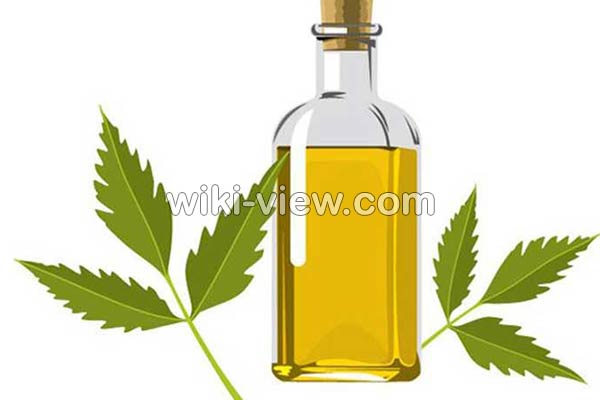 روغن چریش, خواص روغن چریش, مضرات روغن چریش, طبع روغن چریش, خواص روغن چریش برای مو, خواص روغن چریش برای پوست, روغن چریش در ناف, روغن چریش برای بواسیر, روغن چریش برای شپش, روغن درخت چریش را از کجا تهیه کنیم روغن چریش, خواص روغن چریش, مضرات روغن چریش, طبع روغن چریش, خواص روغن چریش برای مو, خواص روغن چریش برای پوست, روغن چریش در ناف, روغن چریش برای بواسیر, روغن چریش برای شپش, روغن درخت چریش را از کجا تهیه کنیم