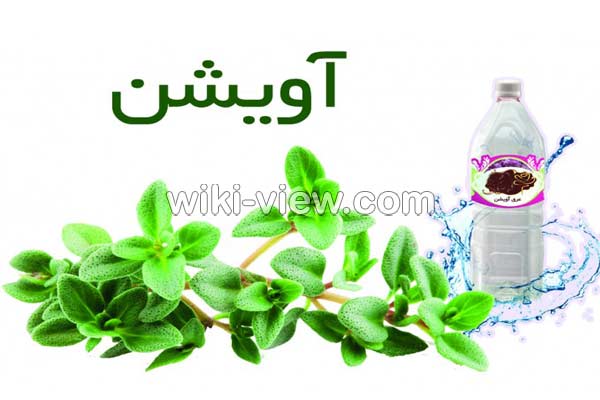 عرق آویشن, خواص عرق آویشن, مضرات عرق آویشن, طبع عرق آویشن, عرق آویشن و فشار خون, عرق آویشن در بارداری, عرق آویشن در شیردهی, عرق آویشن برای لاغری, عرق آویشن برای سرفه, عرق آویشن برای نوزاد, عرق آویشن و دیابت عرق آویشن, خواص عرق آویشن, مضرات عرق آویشن, طبع عرق آویشن, عرق آویشن و فشار خون, عرق آویشن در بارداری, عرق آویشن در شیردهی, عرق آویشن برای لاغری, عرق آویشن برای سرفه, عرق آویشن برای نوزاد, عرق آویشن و دیابت