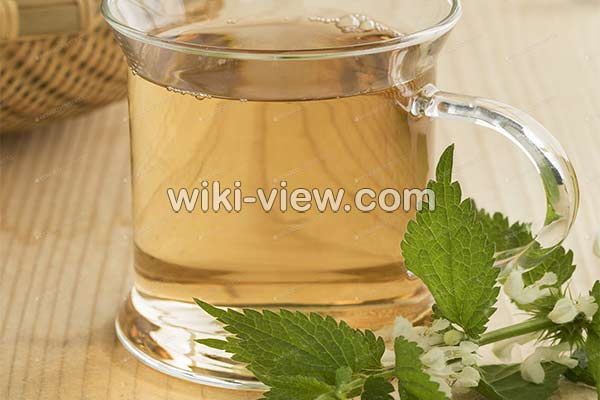 عرق گزنه, خواص عرق گزنه, مضرات عرق گزنه, طبع عرق گزنه, خواص عرق گزنه برای قاعدگی, خواص عرق گزنه برای پروستات, خواص عرق گزنه برای لاغری, خواص عرق گزنه برای قند, طریقه مصرف عرق گزنه برای پروستات عرق گزنه, خواص عرق گزنه, مضرات عرق گزنه, طبع عرق گزنه, خواص عرق گزنه برای قاعدگی, خواص عرق گزنه برای پروستات, خواص عرق گزنه برای لاغری, خواص عرق گزنه برای قند, طریقه مصرف عرق گزنه برای پروستات