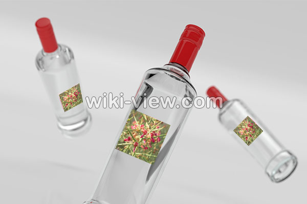 عرق خارشتر, خواص عرق خارشتر, مضرات عرق خارشتر, طبع عرق خارشتر, عرق خارشتر برای لاغری, خواص عرق خارشتر و خارخاسک, عرق خارشتر برای عفونت, موارد منع مصرف عرق خارشتر, طریقه مصرف عرق خارشتر برای دفع سنگ کلیه, خواص عرق خارشتر برای عفونت واژن, خواص عرق خارشتر برای کبد عرق خارشتر, خواص عرق خارشتر, مضرات عرق خارشتر, طبع عرق خارشتر, عرق خارشتر برای لاغری, خواص عرق خارشتر و خارخاسک, عرق خارشتر برای عفونت, موارد منع مصرف عرق خارشتر, طریقه مصرف عرق خارشتر برای دفع سنگ کلیه, خواص عرق خارشتر برای عفونت واژن, خواص عرق خارشتر برای کبد