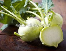 کلم قمری : خواص, مضرات و طبع کلم قمری / غذا با کلم قمری / کلم قمری بارداری