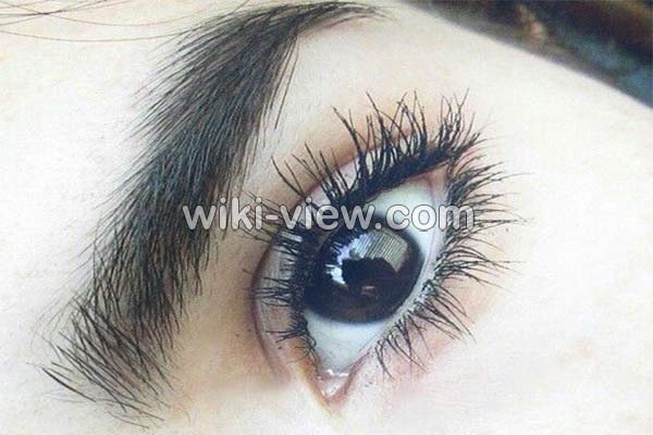 تقویت ابرو, تقویت ابرو با سیر, گردوی سوخته برای تقویت ابرو, تقویت ابرو با بادام سوخته, تقویت ابرو با قرص ال دی, روغن تقویت ابرو و مژه, تقویت ابرو در طب سنتی, بهترین روغن ها برای تقویت ابرو تقویت ابرو, تقویت ابرو با سیر, گردوی سوخته برای تقویت ابرو, تقویت ابرو با بادام سوخته, تقویت ابرو با قرص ال دی, روغن تقویت ابرو و مژه, تقویت ابرو در طب سنتی, بهترین روغن ها برای تقویت ابرو