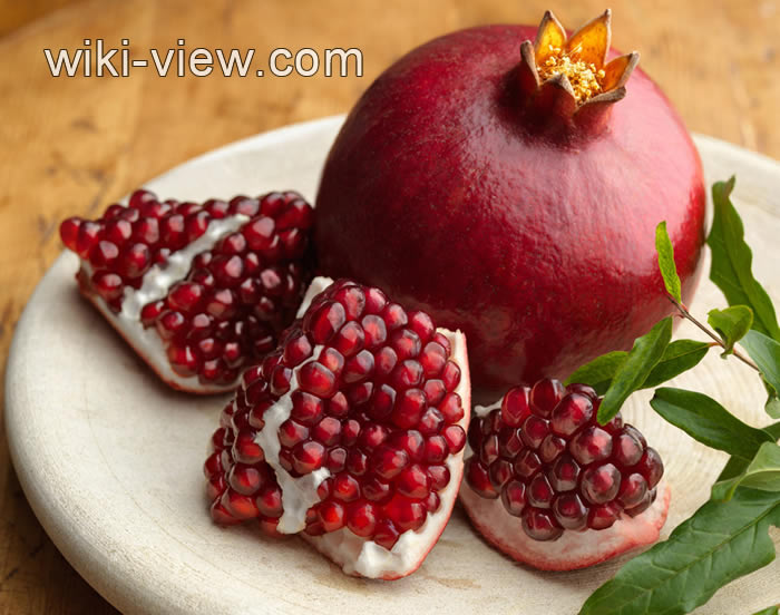 شب یلدا, یلدا, آداب و رسوم شب یلدا, شعر در مورد شب یلدا, تاریخچه شب یلدا, معنی یلدا, تاریخ شب یلدا, شعر در مورد شب یلدا, آداب و رسوم شب یلدا در تهران, خوراکی های ویژه شب یلدا, آداب و رسوم شب یلدا در شهرهای مختلف ایران شب یلدا, یلدا, آداب و رسوم شب یلدا, شعر در مورد شب یلدا, تاریخچه شب یلدا, معنی یلدا, تاریخ شب یلدا, شعر در مورد شب یلدا, آداب و رسوم شب یلدا در تهران, خوراکی های ویژه شب یلدا, آداب و رسوم شب یلدا در شهرهای مختلف ایران