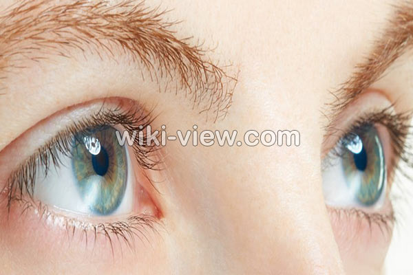 تقویت مژه,تقویت مژه به روش طبیعی و خانگی, تقویت مژه در طب سنتی, داروی تقویت مژه, وازلین برای مژه, پرپشت کننده مژه, آیا مژه رشد میکند؟, رشد سریع مژه در یک هفته, رشد مجدد مژه چقدر طول میکشد, تقویت مژه با روغن نارگیل, تقویت مژه با روغن زیتون, تقویت مژه با روغن کرچک تقویت مژه,تقویت مژه به روش طبیعی و خانگی, تقویت مژه در طب سنتی, داروی تقویت مژه, وازلین برای مژه, پرپشت کننده مژه, آیا مژه رشد میکند؟, رشد سریع مژه در یک هفته, رشد مجدد مژه چقدر طول میکشد, تقویت مژه با روغن نارگیل, تقویت مژه با روغن زیتون, تقویت مژه با روغن کرچک