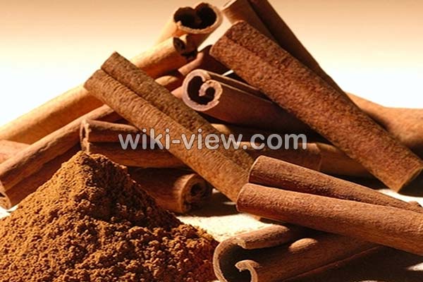 دارچین, خواص دارچین, مضرات دارچین, طبع دارچین, دارچین در بارداری, دارچین در شیردهی, دارچین و فشار خون, دارچین برای سرماخوردگی, دارچین و کم کاری تیروئید, دارچین و دیابت, دارچین و لاغری, خواص دارچین برای مردان, خواص دارچین در چای, خواص دارچین برای پوست, خواص دارچین و زنجبیل, دارچین و عسل دارچین, خواص دارچین, مضرات دارچین, طبع دارچین, دارچین در بارداری, دارچین در شیردهی, دارچین و فشار خون, دارچین برای سرماخوردگی, دارچین و کم کاری تیروئید, دارچین و دیابت, دارچین و لاغری, خواص دارچین برای مردان, خواص دارچین در چای, خواص دارچین برای پوست, خواص دارچین و زنجبیل, دارچین و عسل