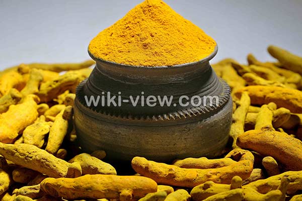 زردچوبه, خواص زردچوبه, مضرات زردچوبه, طبع زردچوبه, زردچوبه در بارداری, خواص زردچوبه ناشتا, خواص زردچوبه با اب گرم, خواص زردچوبه برای پوست, بهترین زمان مصرف زردچوبه, خواص زردچوبه برای کبد, خواص زردچوبه با شیر, خواص قرص زردچوبه زردچوبه, خواص زردچوبه, مضرات زردچوبه, طبع زردچوبه, زردچوبه در بارداری, خواص زردچوبه ناشتا, خواص زردچوبه با اب گرم, خواص زردچوبه برای پوست, بهترین زمان مصرف زردچوبه, خواص زردچوبه برای کبد, خواص زردچوبه با شیر, خواص قرص زردچوبه
