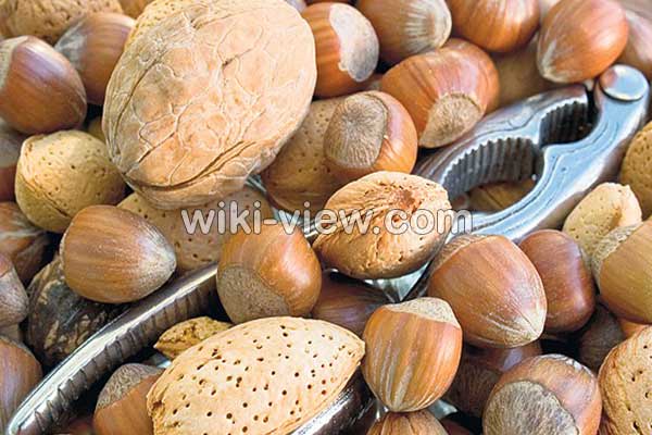 فندق, خواص فندق, مضرات فندق, طبع فندق, فندق در بارداری, خواص فندق برای کودکان, خواص فندق برای کم خونی, خواص فندق در بدنسازی, خواص فندق برای مو, خواص کره فندق فندق, خواص فندق, مضرات فندق, طبع فندق, فندق در بارداری, خواص فندق برای کودکان, خواص فندق برای کم خونی, خواص فندق در بدنسازی, خواص فندق برای مو, خواص کره فندق