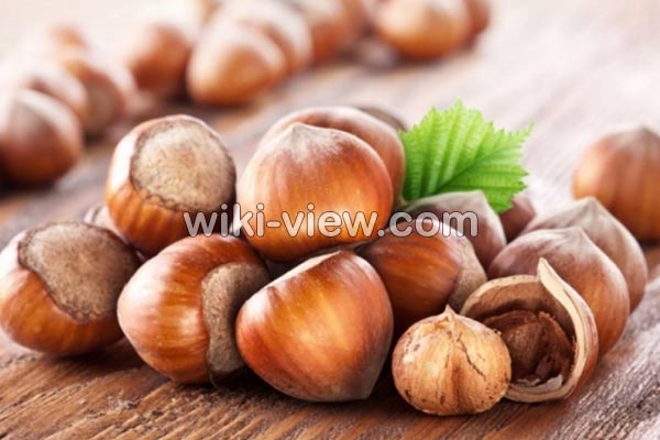 فندق, خواص فندق, مضرات فندق, طبع فندق, فندق در بارداری, خواص فندق برای کودکان, خواص فندق برای کم خونی, خواص فندق در بدنسازی, خواص فندق برای مو, خواص کره فندق فندق, خواص فندق, مضرات فندق, طبع فندق, فندق در بارداری, خواص فندق برای کودکان, خواص فندق برای کم خونی, خواص فندق در بدنسازی, خواص فندق برای مو, خواص کره فندق