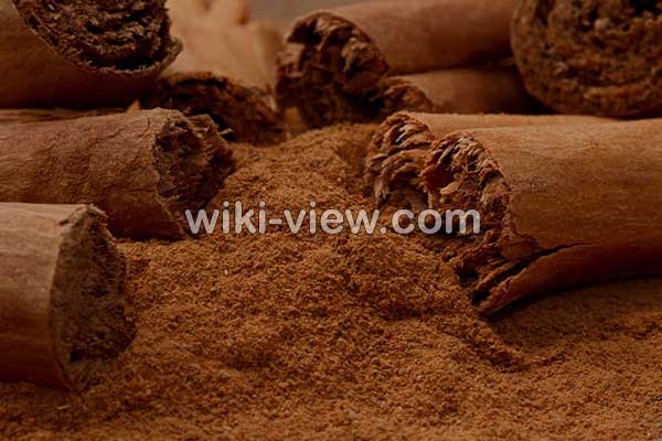 دارچین, خواص دارچین, مضرات دارچین, طبع دارچین, دارچین در بارداری, دارچین در شیردهی, دارچین و فشار خون, دارچین برای سرماخوردگی, دارچین و کم کاری تیروئید, دارچین و دیابت, دارچین و لاغری, خواص دارچین برای مردان, خواص دارچین در چای, خواص دارچین برای پوست, خواص دارچین و زنجبیل, دارچین و عسل دارچین, خواص دارچین, مضرات دارچین, طبع دارچین, دارچین در بارداری, دارچین در شیردهی, دارچین و فشار خون, دارچین برای سرماخوردگی, دارچین و کم کاری تیروئید, دارچین و دیابت, دارچین و لاغری, خواص دارچین برای مردان, خواص دارچین در چای, خواص دارچین برای پوست, خواص دارچین و زنجبیل, دارچین و عسل