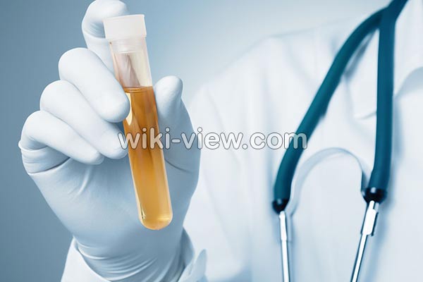 عفونت مثانه, علائم عفونت مثانه چیست, درمان عفونت مثانه, درمان عفونت مثانه در طب سنتی, آنتی بیوتیک برای عفونت مثانه, عفونت مثانه در مردان, نام قرص عفونت ادراری, درد مثانه, انتی بیوتیک قوی برای عفونت ادراری عفونت مثانه, علائم عفونت مثانه چیست, درمان عفونت مثانه, درمان عفونت مثانه در طب سنتی, آنتی بیوتیک برای عفونت مثانه, عفونت مثانه در مردان, نام قرص عفونت ادراری, درد مثانه, انتی بیوتیک قوی برای عفونت ادراری