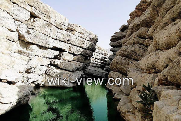 بندرعباس, جاذبه های گردشگری بندرعباس, بهترین زمان سفر به بندرعباس, بندرعباس گردی, معرفی بندرعباس, آب و هوای بندرعباس, مسیرهای ارتباطی بندرعباس, شهر بندرعباس