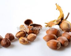 فندق : خواص, مضرات و طبع / خواص فندق برای بدنسازی, کم خونی / کره فندق