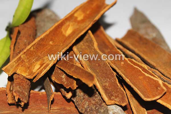 دارچین, خواص دارچین, مضرات دارچین, طبع دارچین, دارچین در بارداری, دارچین در شیردهی, دارچین و فشار خون, دارچین برای سرماخوردگی, دارچین و کم کاری تیروئید, دارچین و دیابت, دارچین و لاغری, خواص دارچین برای مردان, خواص دارچین در چای, خواص دارچین برای پوست, خواص دارچین و زنجبیل, دارچین و عسل دارچین, خواص دارچین, مضرات دارچین, طبع دارچین, دارچین در بارداری, دارچین در شیردهی, دارچین و فشار خون, دارچین برای سرماخوردگی, دارچین و کم کاری تیروئید, دارچین و دیابت, دارچین و لاغری, خواص دارچین برای مردان, خواص دارچین در چای, خواص دارچین برای پوست, خواص دارچین و زنجبیل, دارچین و عسل