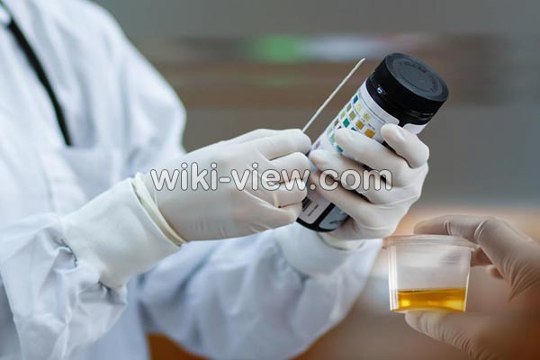عفونت مثانه, علائم عفونت مثانه چیست, درمان عفونت مثانه, درمان عفونت مثانه در طب سنتی, آنتی بیوتیک برای عفونت مثانه, عفونت مثانه در مردان, نام قرص عفونت ادراری, درد مثانه, انتی بیوتیک قوی برای عفونت ادراری عفونت مثانه, علائم عفونت مثانه چیست, درمان عفونت مثانه, درمان عفونت مثانه در طب سنتی, آنتی بیوتیک برای عفونت مثانه, عفونت مثانه در مردان, نام قرص عفونت ادراری, درد مثانه, انتی بیوتیک قوی برای عفونت ادراری