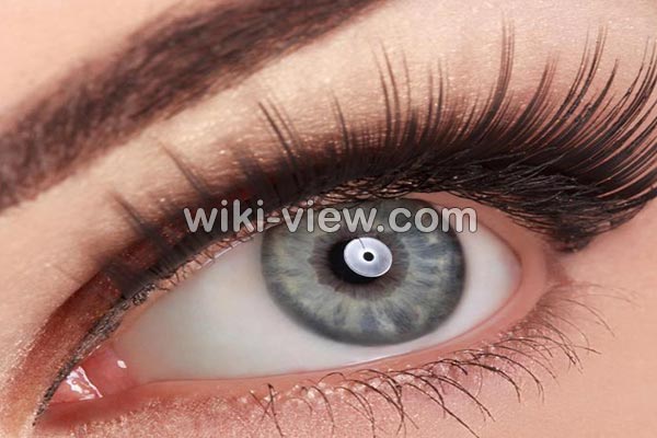 تقویت مژه,تقویت مژه به روش طبیعی و خانگی, تقویت مژه در طب سنتی, داروی تقویت مژه, وازلین برای مژه, پرپشت کننده مژه, آیا مژه رشد میکند؟, رشد سریع مژه در یک هفته, رشد مجدد مژه چقدر طول میکشد, تقویت مژه با روغن نارگیل, تقویت مژه با روغن زیتون, تقویت مژه با روغن کرچک تقویت مژه,تقویت مژه به روش طبیعی و خانگی, تقویت مژه در طب سنتی, داروی تقویت مژه, وازلین برای مژه, پرپشت کننده مژه, آیا مژه رشد میکند؟, رشد سریع مژه در یک هفته, رشد مجدد مژه چقدر طول میکشد, تقویت مژه با روغن نارگیل, تقویت مژه با روغن زیتون, تقویت مژه با روغن کرچک