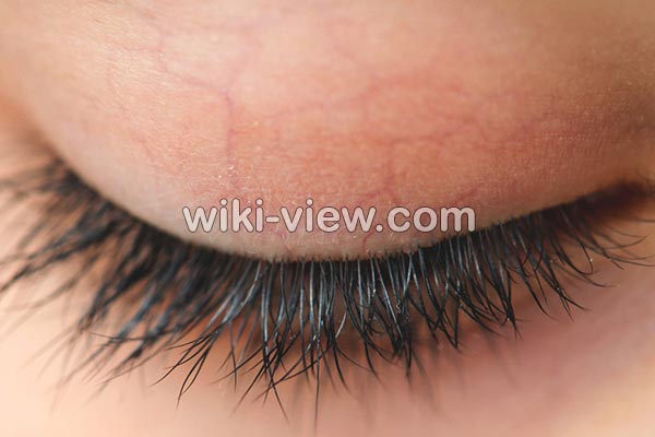 تقویت مژه,تقویت مژه به روش طبیعی و خانگی, تقویت مژه در طب سنتی, داروی تقویت مژه, وازلین برای مژه, پرپشت کننده مژه, آیا مژه رشد میکند؟, رشد سریع مژه در یک هفته, رشد مجدد مژه چقدر طول میکشد, تقویت مژه با روغن نارگیل, تقویت مژه با روغن زیتون, تقویت مژه با روغن کرچک تقویت مژه,تقویت مژه به روش طبیعی و خانگی, تقویت مژه در طب سنتی, داروی تقویت مژه, وازلین برای مژه, پرپشت کننده مژه, آیا مژه رشد میکند؟, رشد سریع مژه در یک هفته, رشد مجدد مژه چقدر طول میکشد, تقویت مژه با روغن نارگیل, تقویت مژه با روغن زیتون, تقویت مژه با روغن کرچک